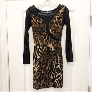 Animal Print Mesh Long Sleeve Dress